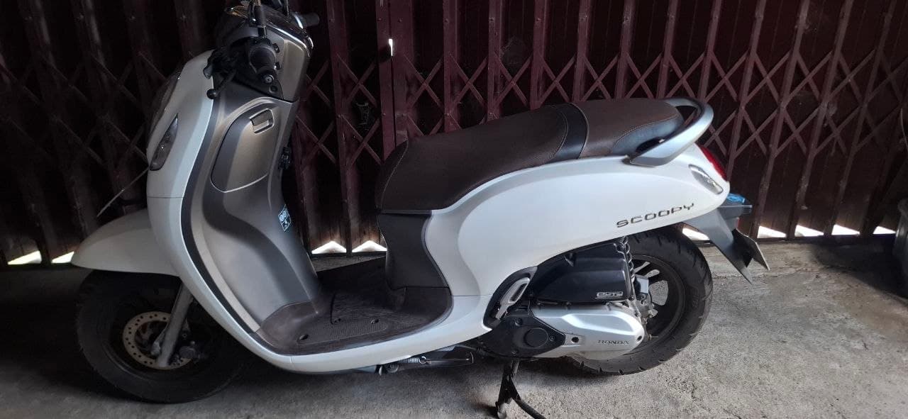 Honda Scoopy